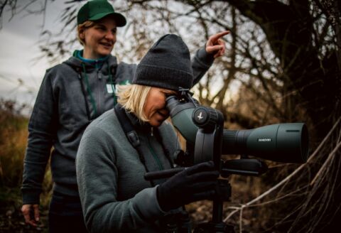 Vorarlberger Naturpicknick: Birdwatching Swarovski