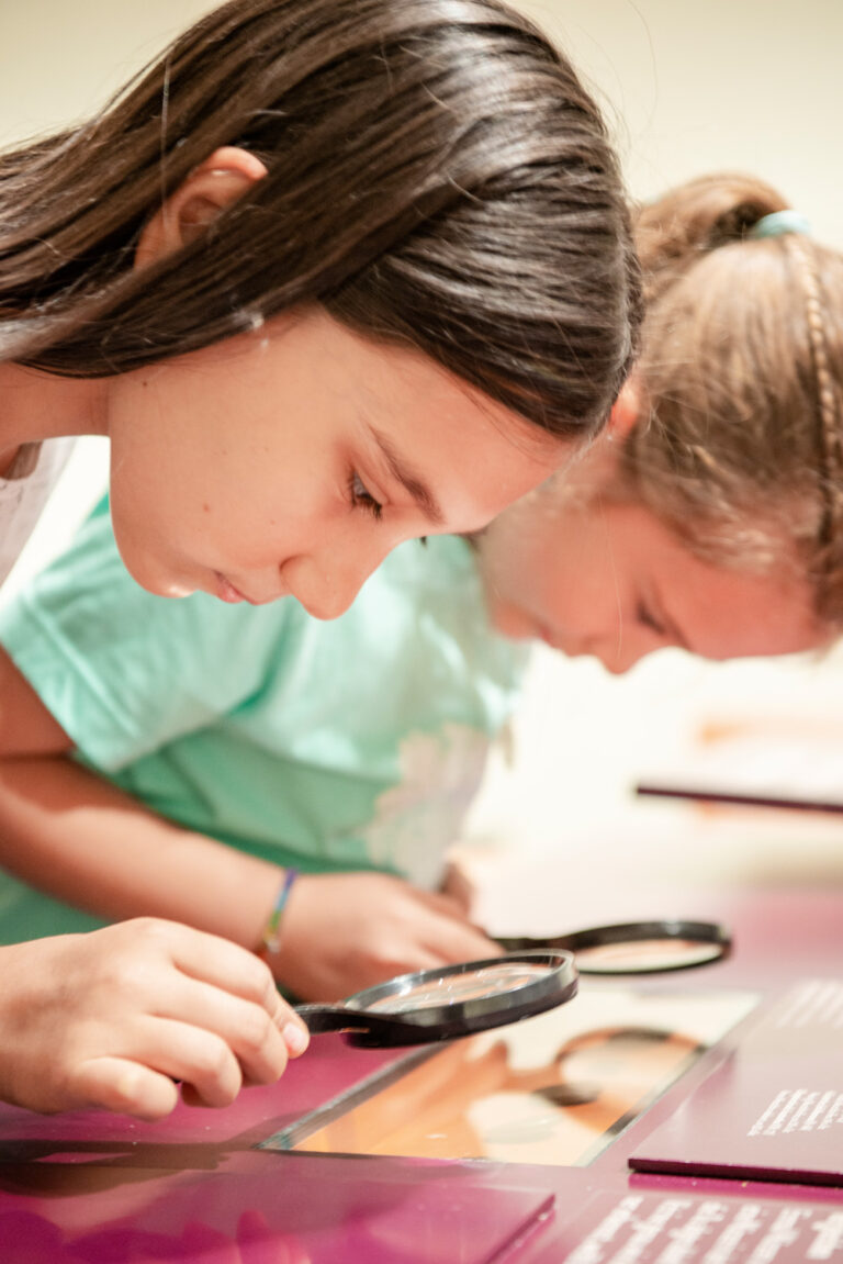 Bildung_vorarlberg_museum®karinnussbaumer.com