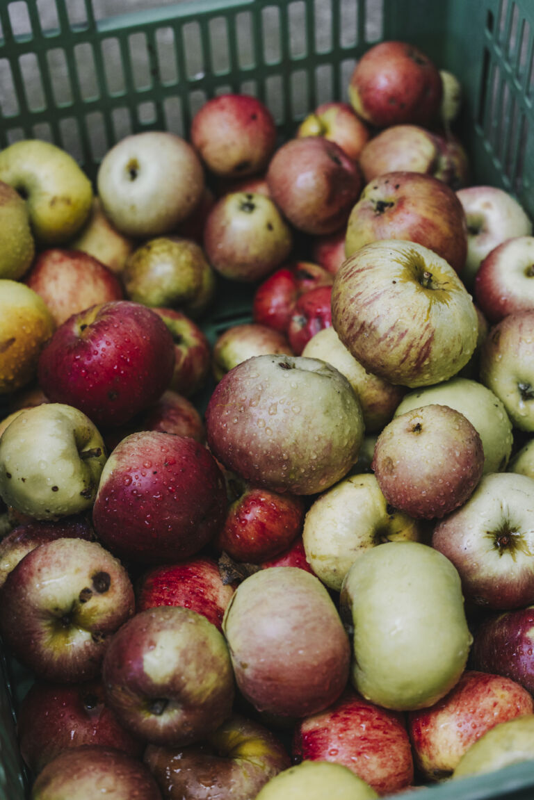 WISTO_Lauterachkochbuch-220908-005_A-Lamprecht