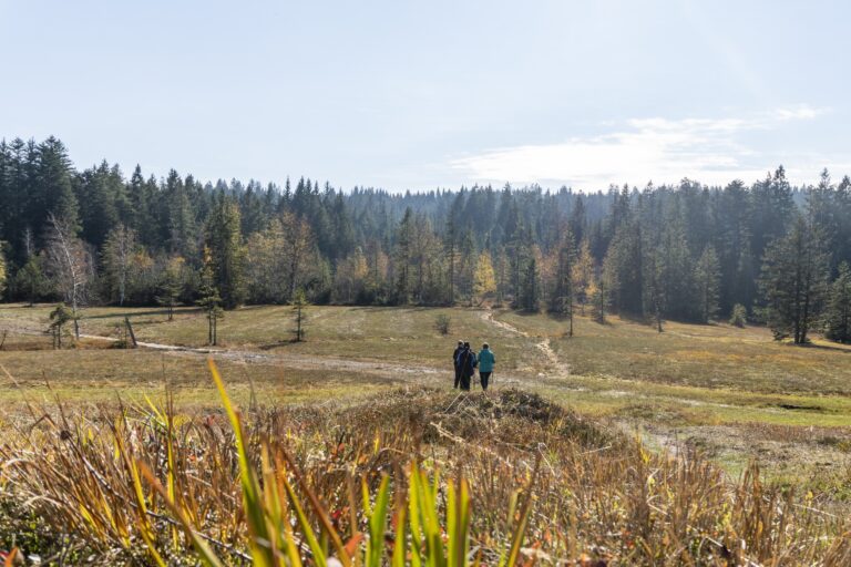 Vorarlberger Naturpicknick: Fohramoos