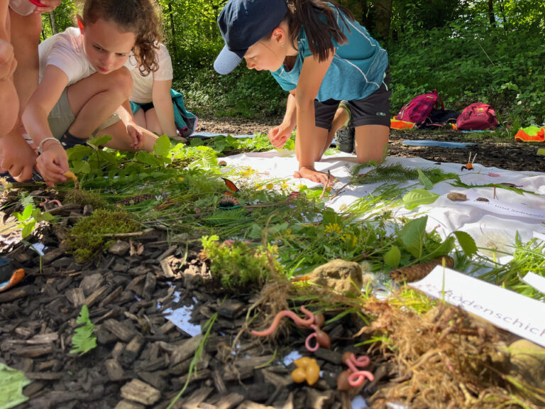 chancenreich Vorarlberg Natur