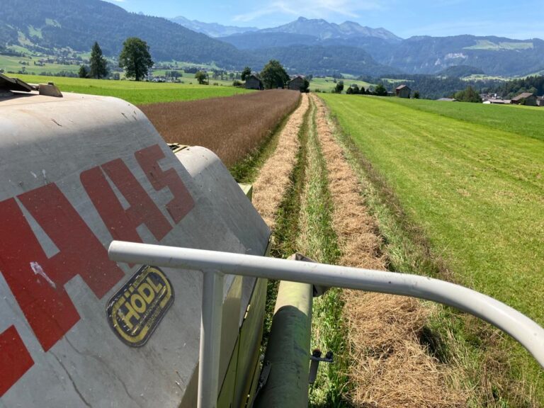 Bäckerei Künz Urdinkel chancenreich Vorarlberg