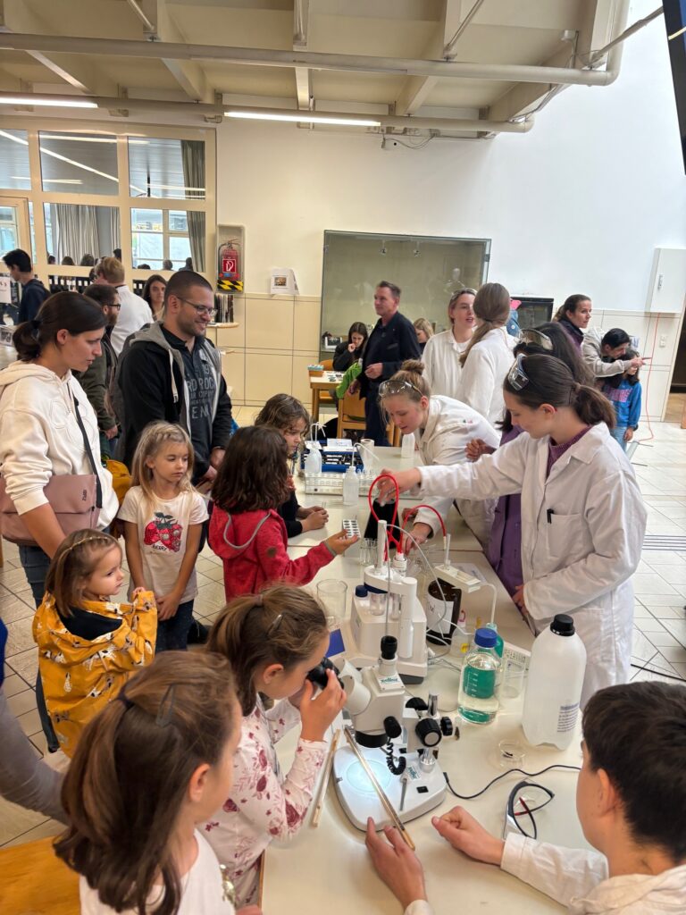 vorarlberg chancenreich mint