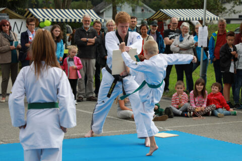 Karate Nenzing Jugendliche